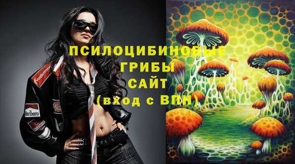 дживик Мегион