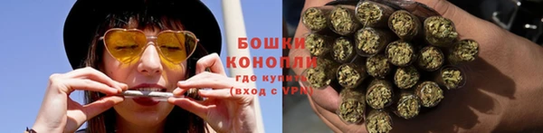 PSILOCYBIN Михайлов