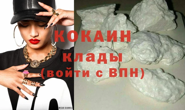 PSILOCYBIN Михайлов