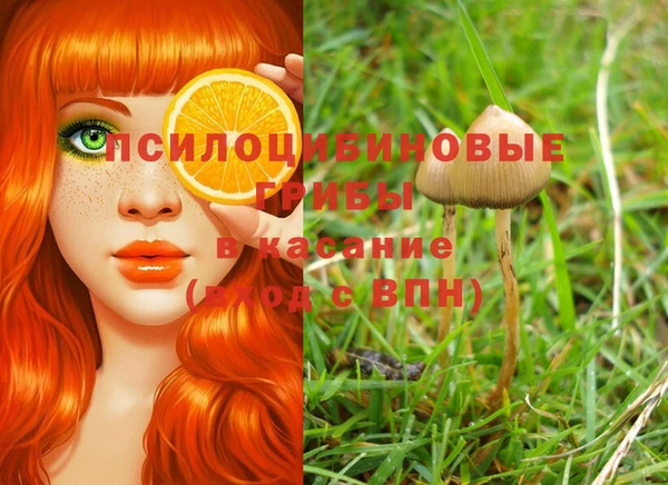PSILOCYBIN Михайлов