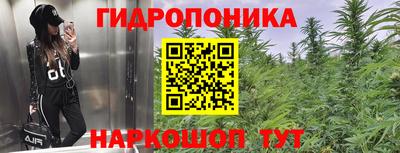 дживик Донецк