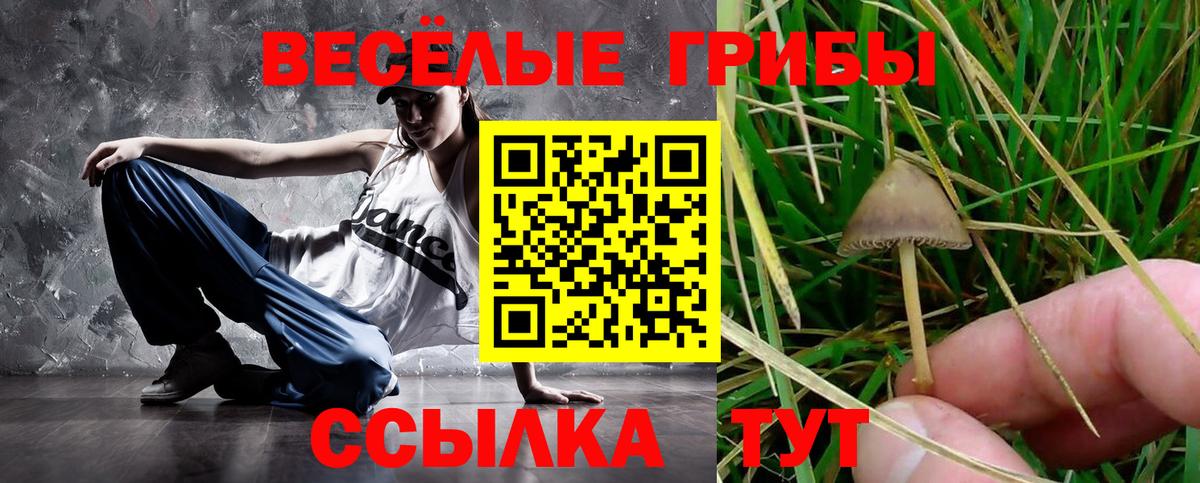 Псилоцибиновые грибы Cubensis  Вход с VPN  Галлюциногенные грибы Magic Shrooms  Карталы 