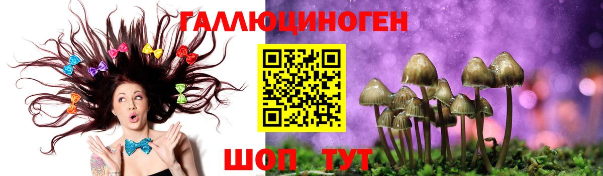 Галлюциногенные грибы Cubensis Карталы